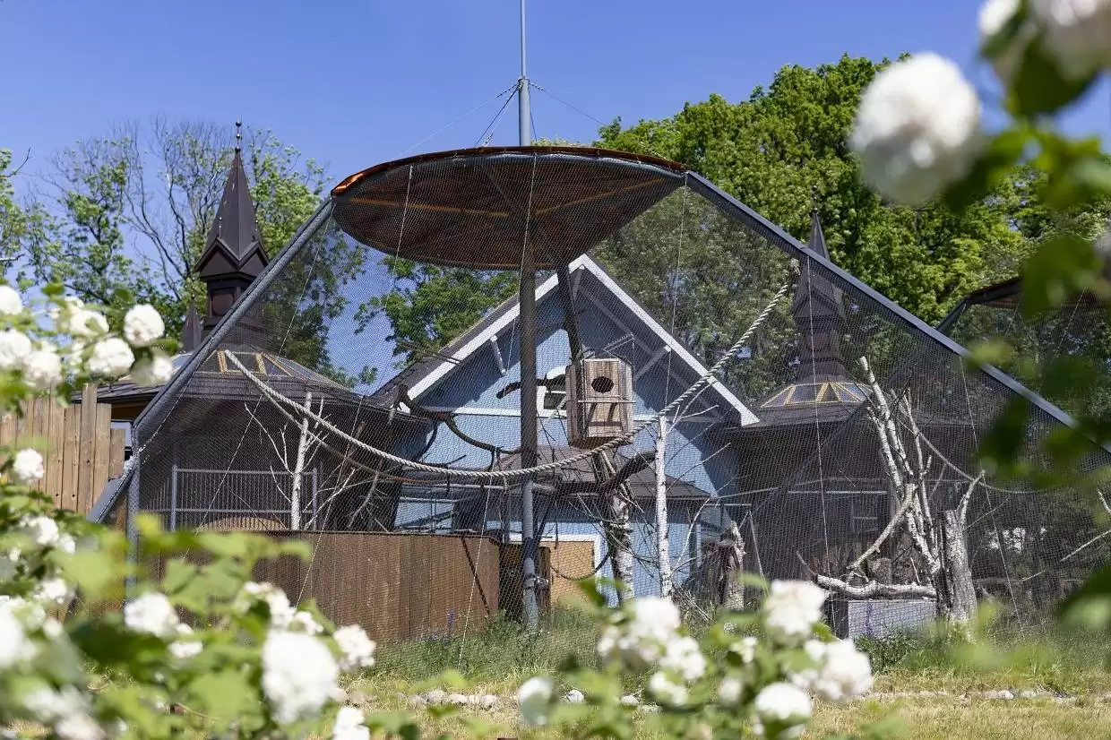 «...И получился зоопарк»