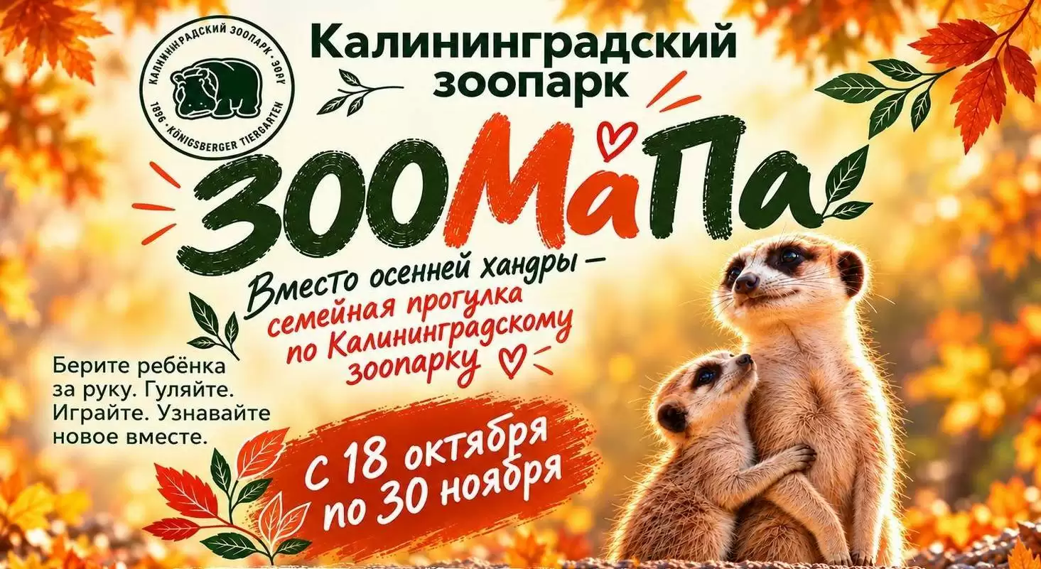 Акция «ЗООМаПа»: дарим скидки мамам и папам!