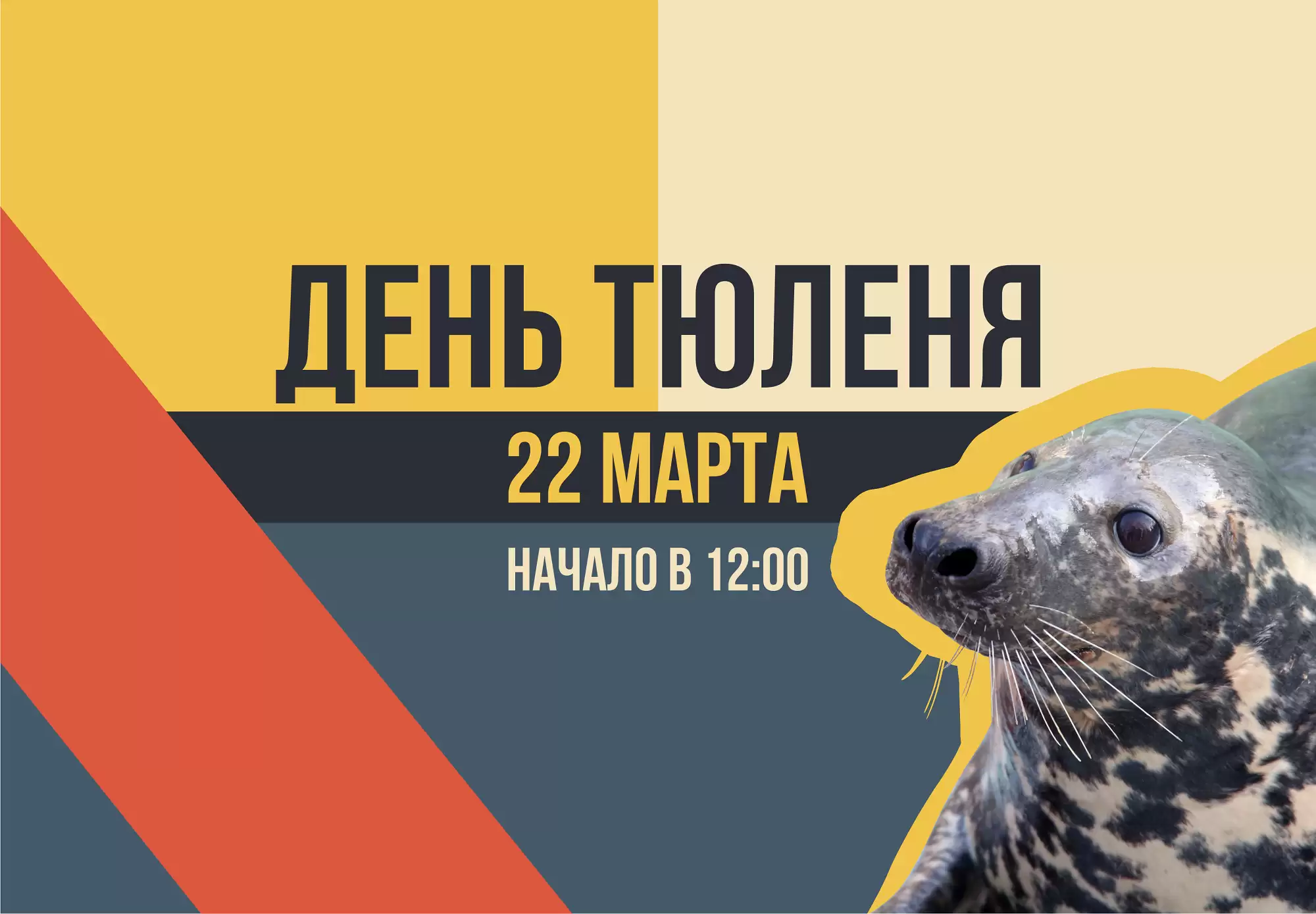 Приходите на День Тюленя!