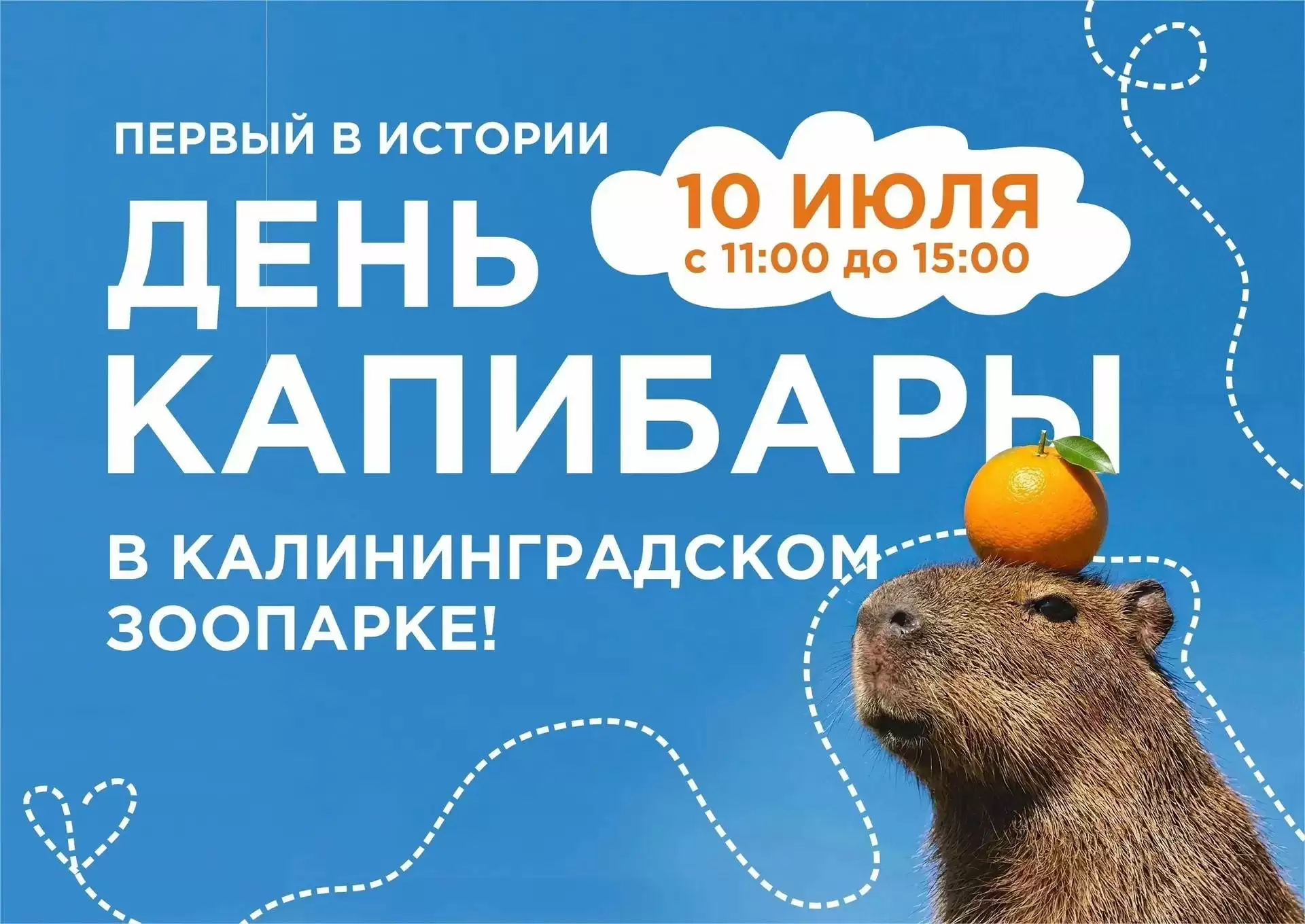 Приходите на День КА-ПИ-БА-РЫ!