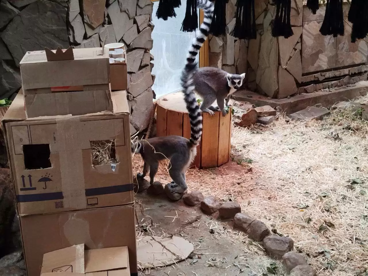 Захватчица