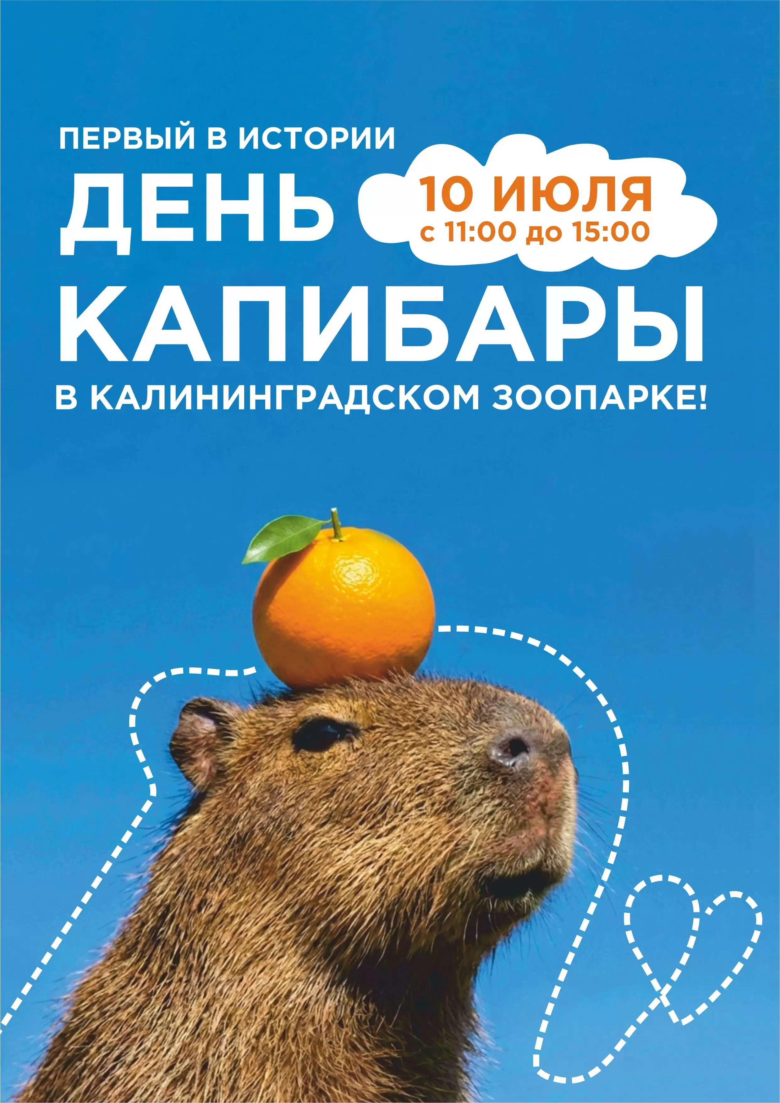 Приходите на День КА-ПИ-БА-РЫ!