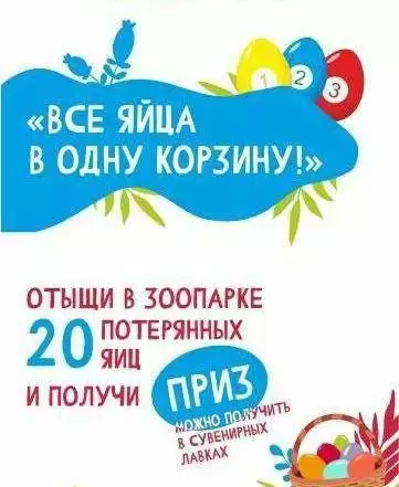 Квест-игра «Все яйца в одну корзину!»