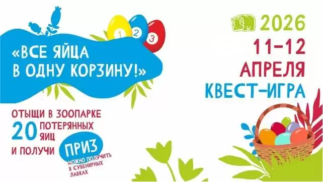 Квест-игра «Все яйца в одну корзину!»