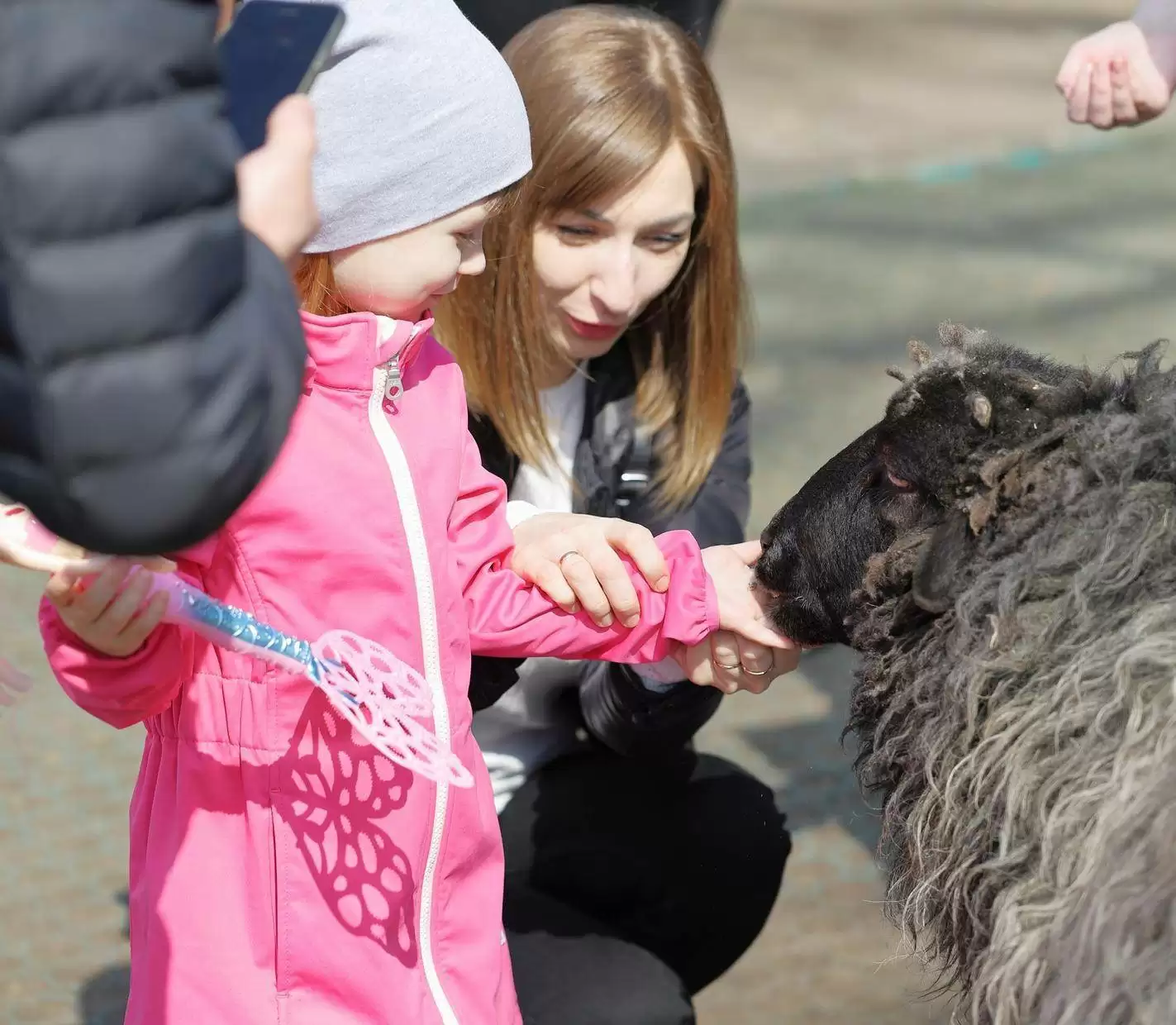 «Загадочный зоопарк»
