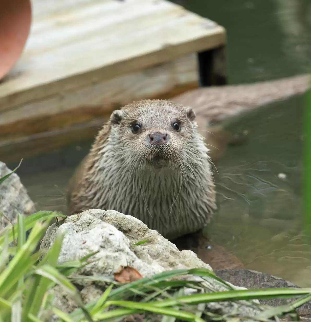 «Я тебя знаю»