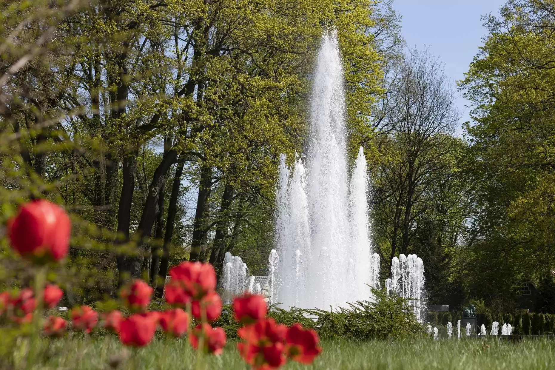 Приглашаем на Открытие юбилейного сезона!