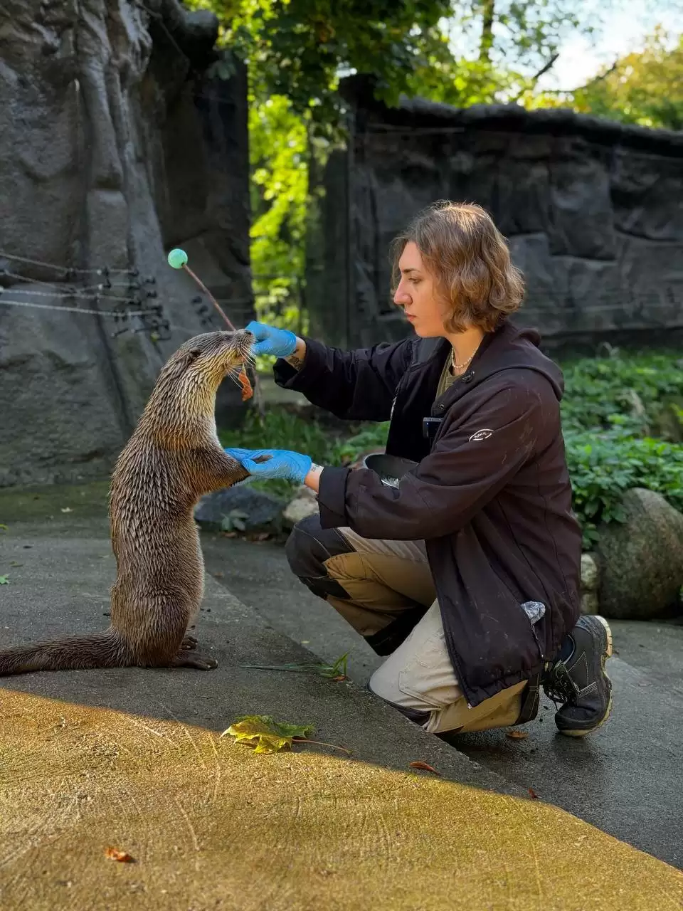 «Свободный выгул»