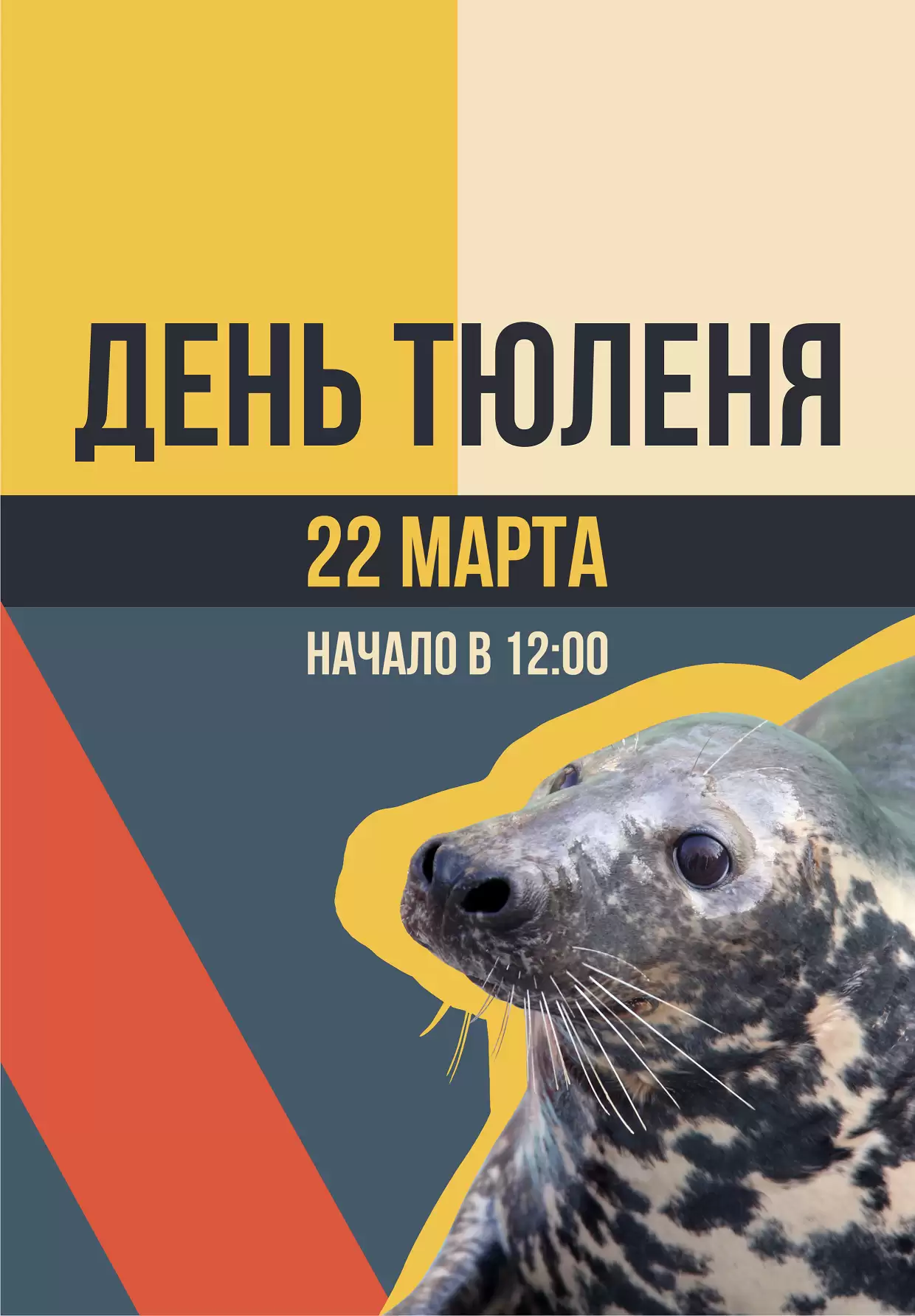 Приходите на День Тюленя!