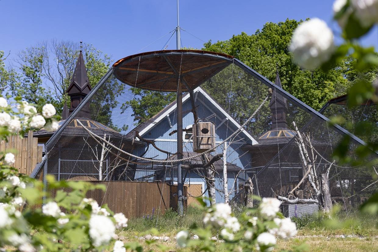 «...И получился зоопарк»