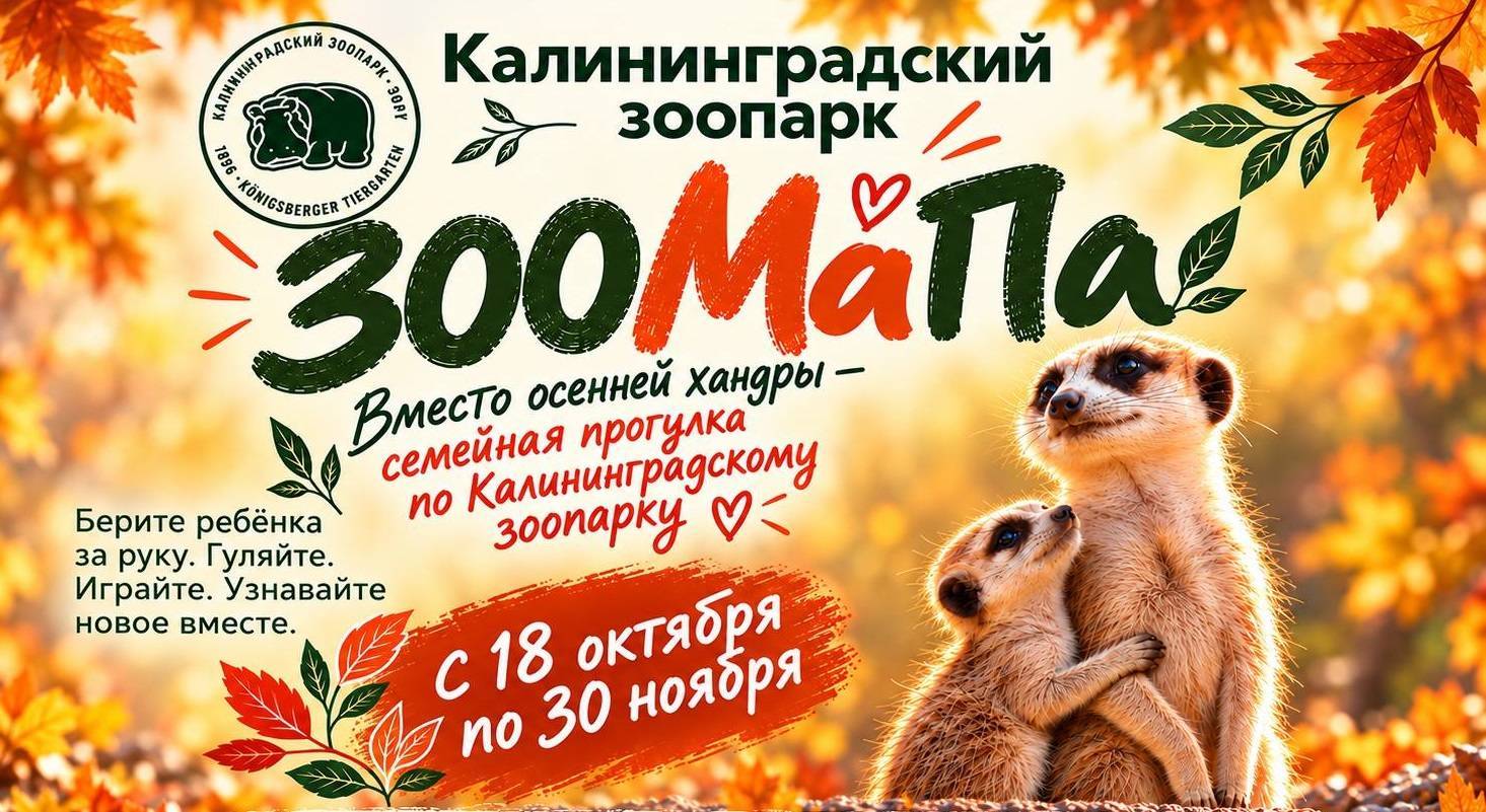 Акция «ЗООМаПа»: дарим скидки мамам и папам!