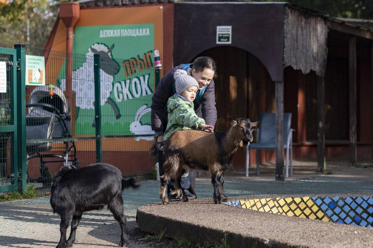 «Прыг-Скок» — на ремонт