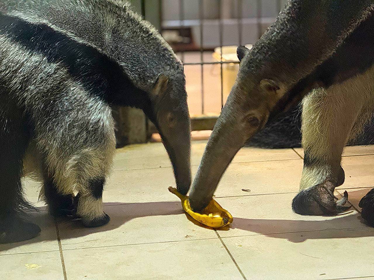 Пора получить имя!