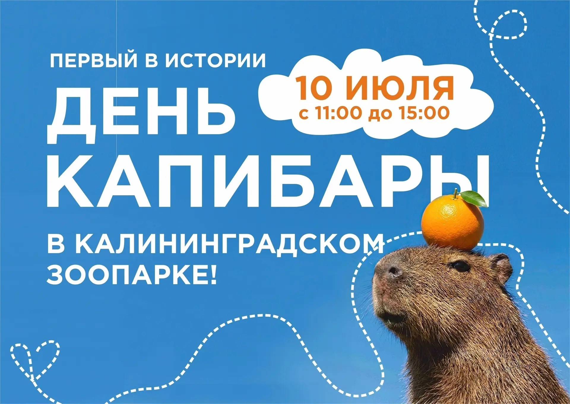 Приходите на День КА-ПИ-БА-РЫ!