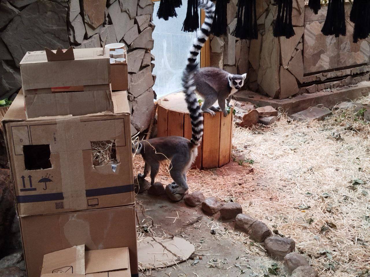 Захватчица
