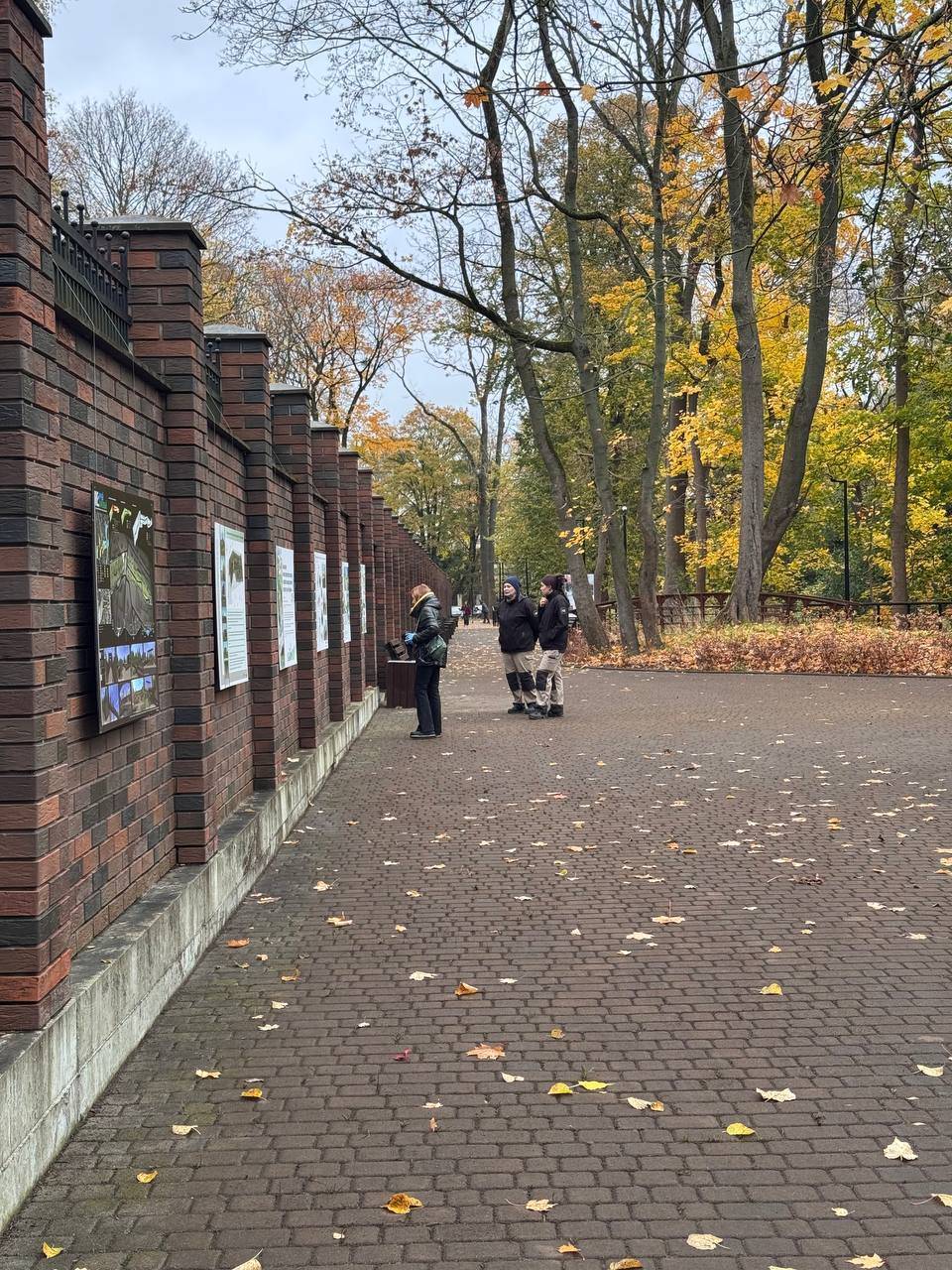День трёх открытий