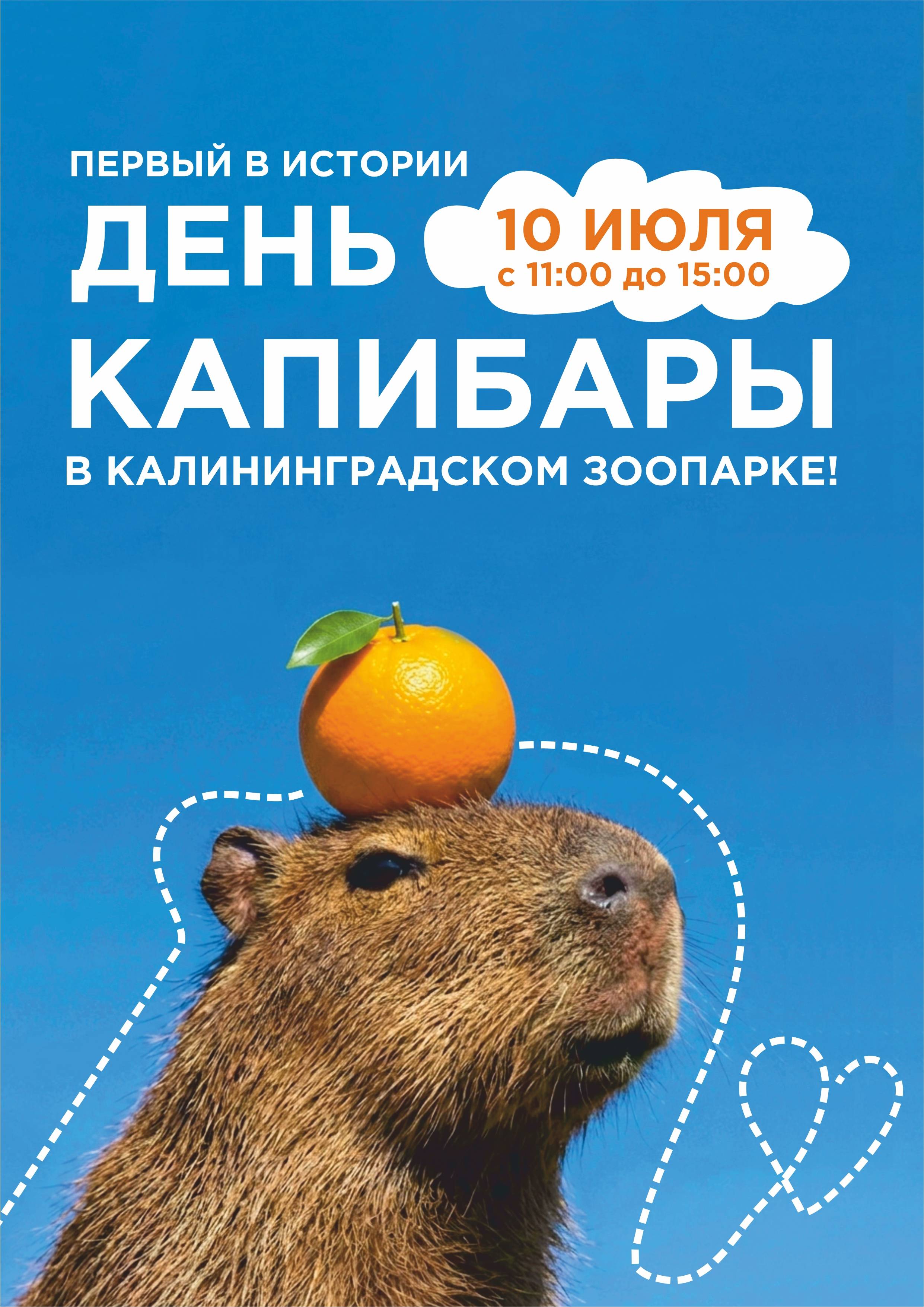 Приходите на День КА-ПИ-БА-РЫ!
