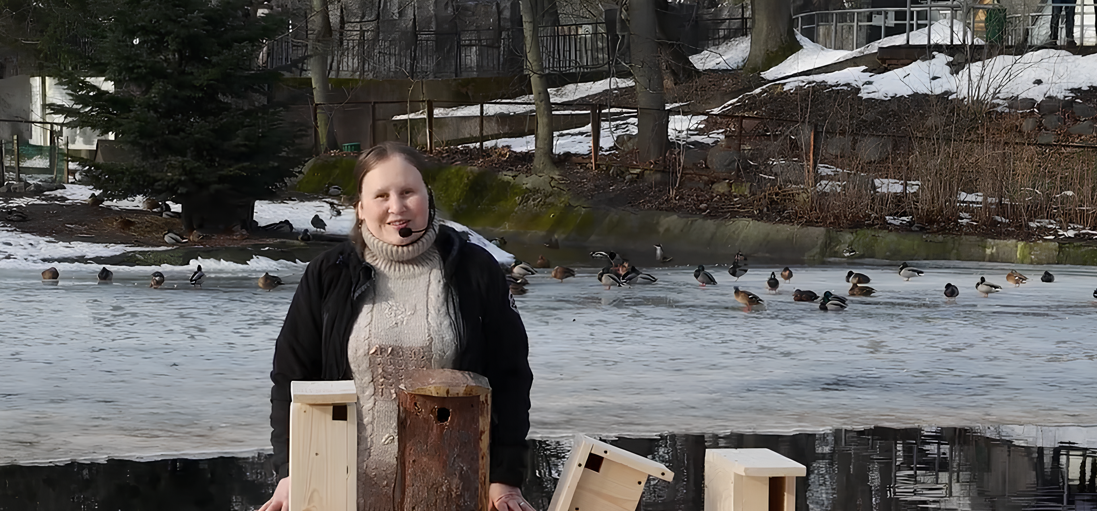 Шутки в сторону: мы строим дома для птиц!