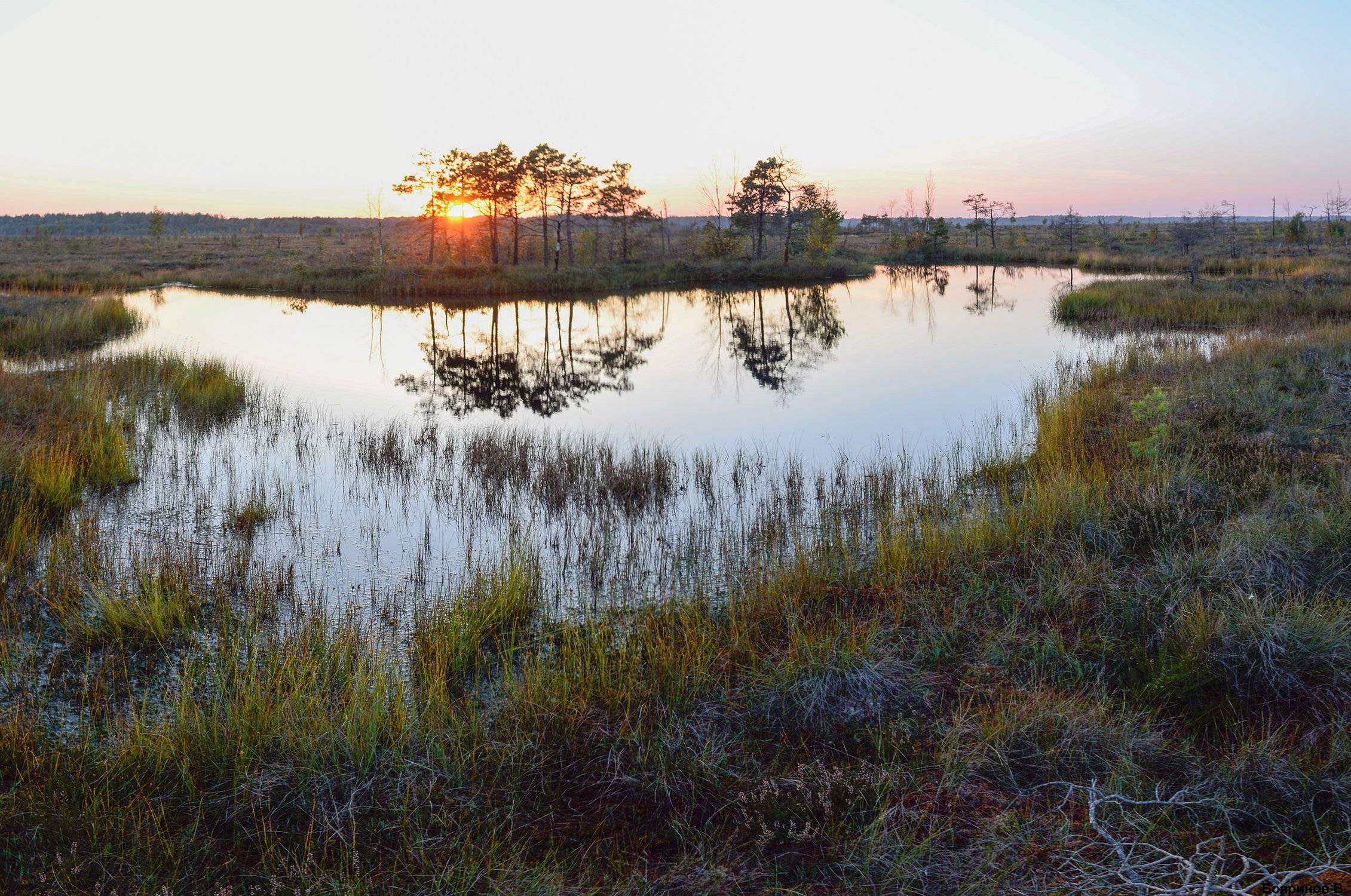 2 февраля — Всемирный день водно-болотных угодий