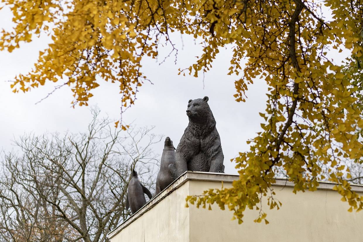 «Зоопарк ботанический»