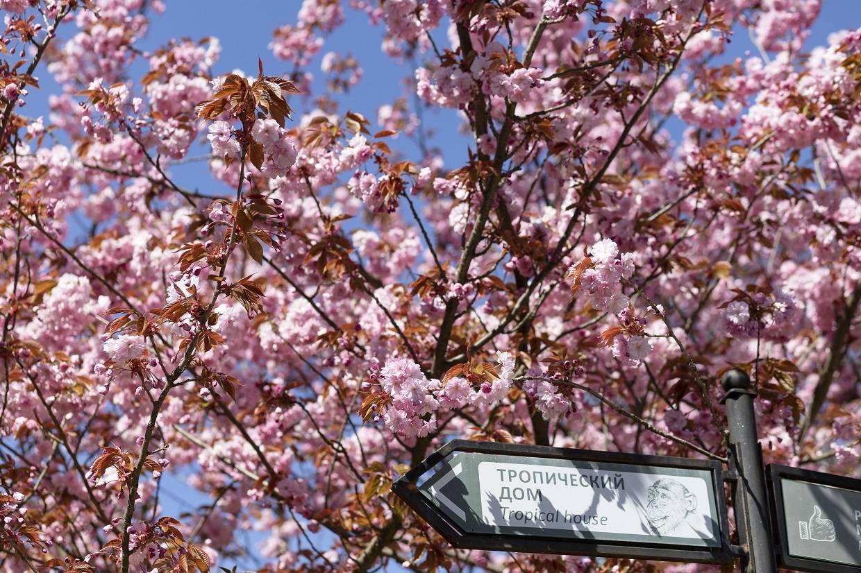 «Не только зоо, но и парк»