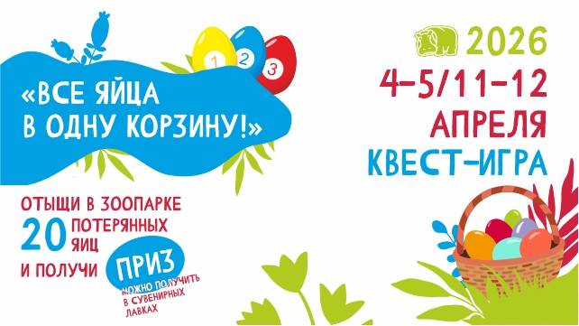 Квест-игра «Все яйца в одну корзину!»