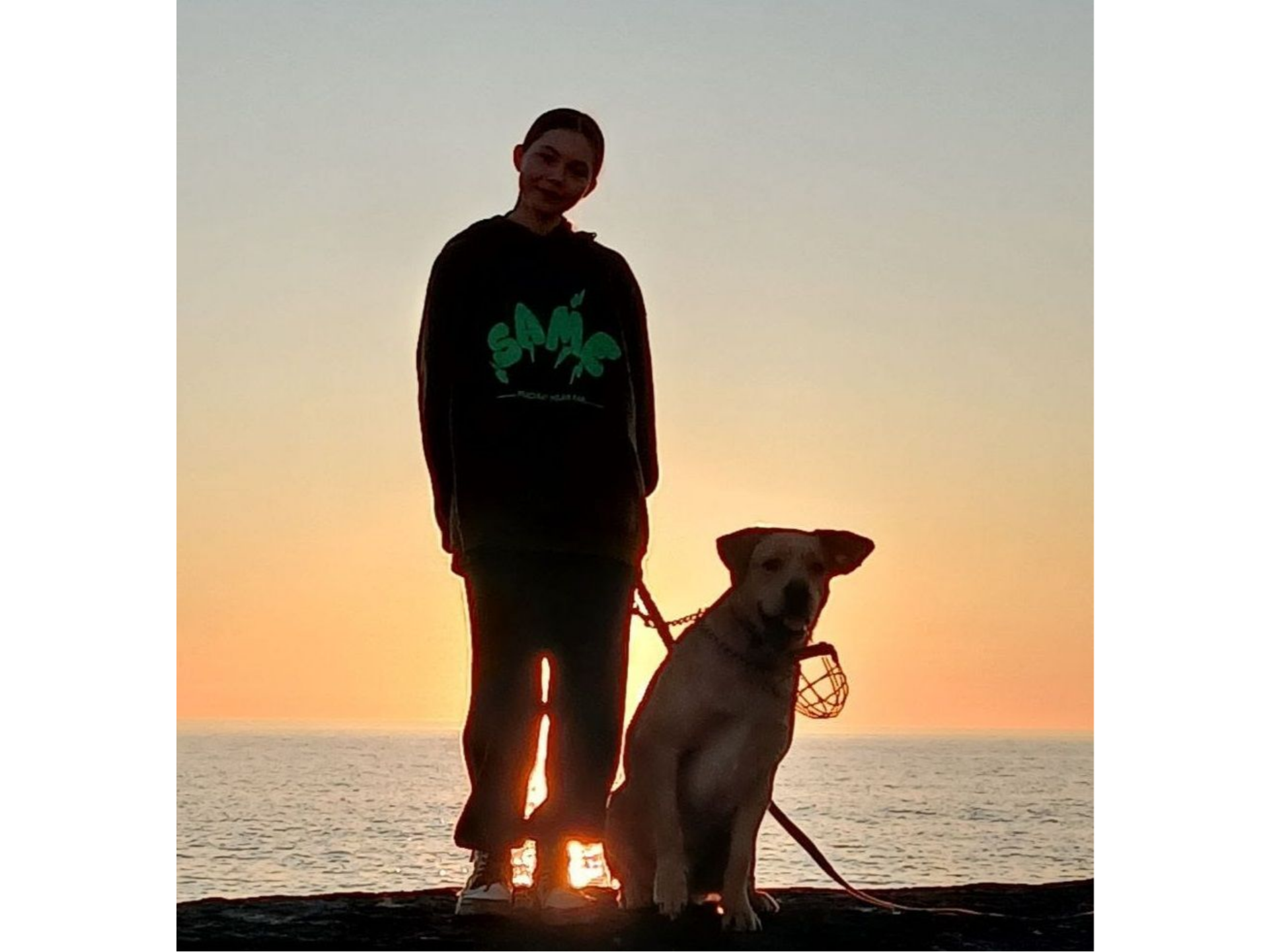 Выбираем победителей Международной премии «Мой ласковый и нужный зверь»!