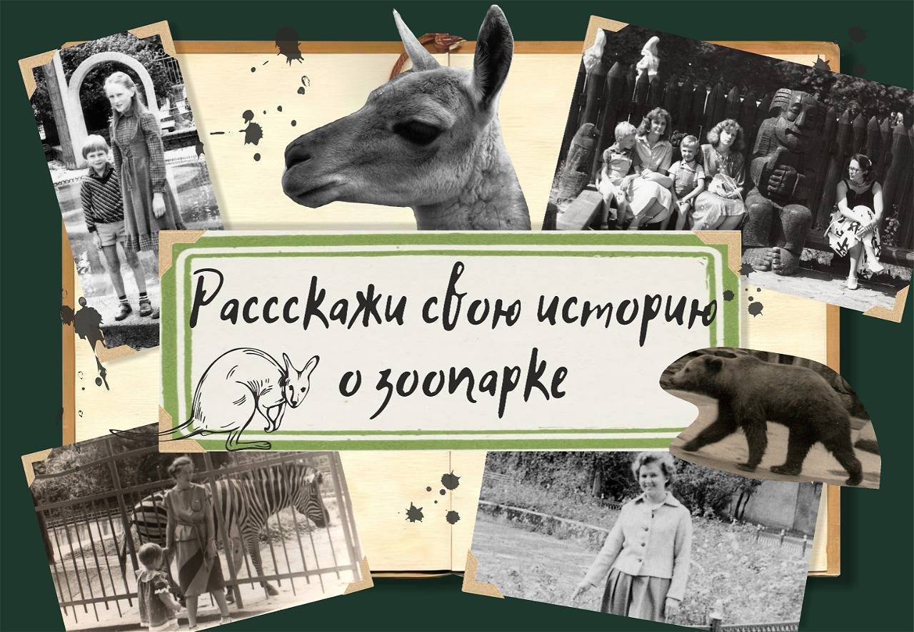 Зоопарк собирает истории о... зоопарке!