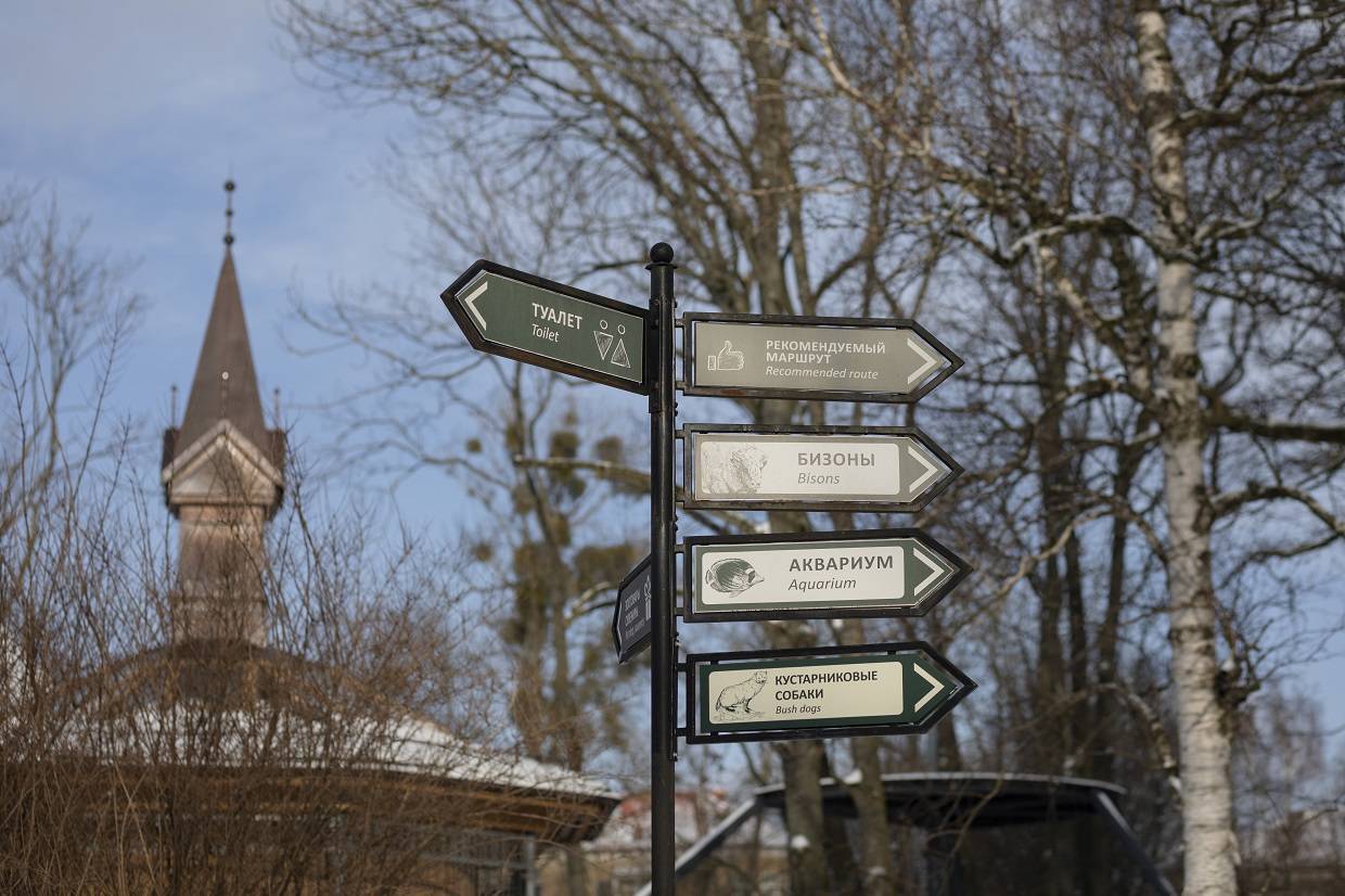 «...И получился зоопарк»