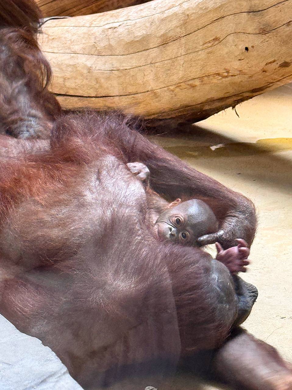 Хорошие новости!