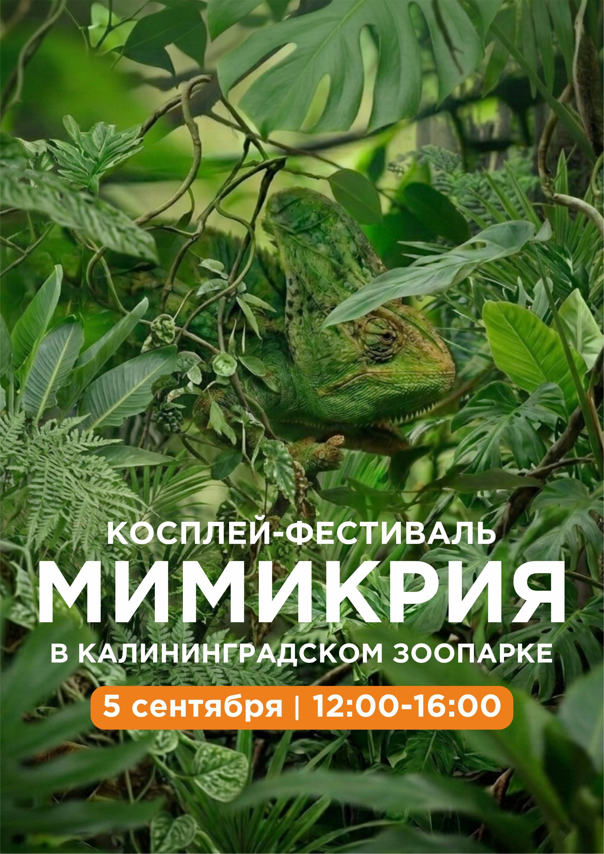 Косплей-фестиваль «Мимикрия»