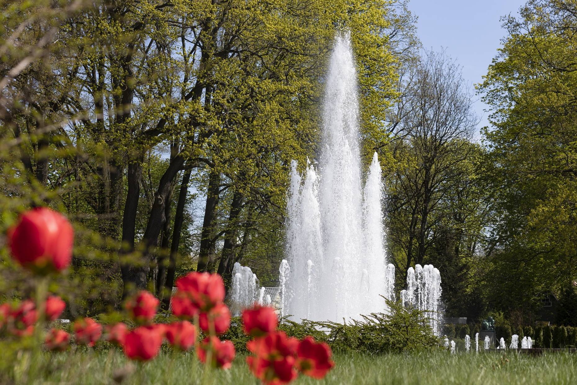 Приглашаем на Открытие юбилейного сезона!