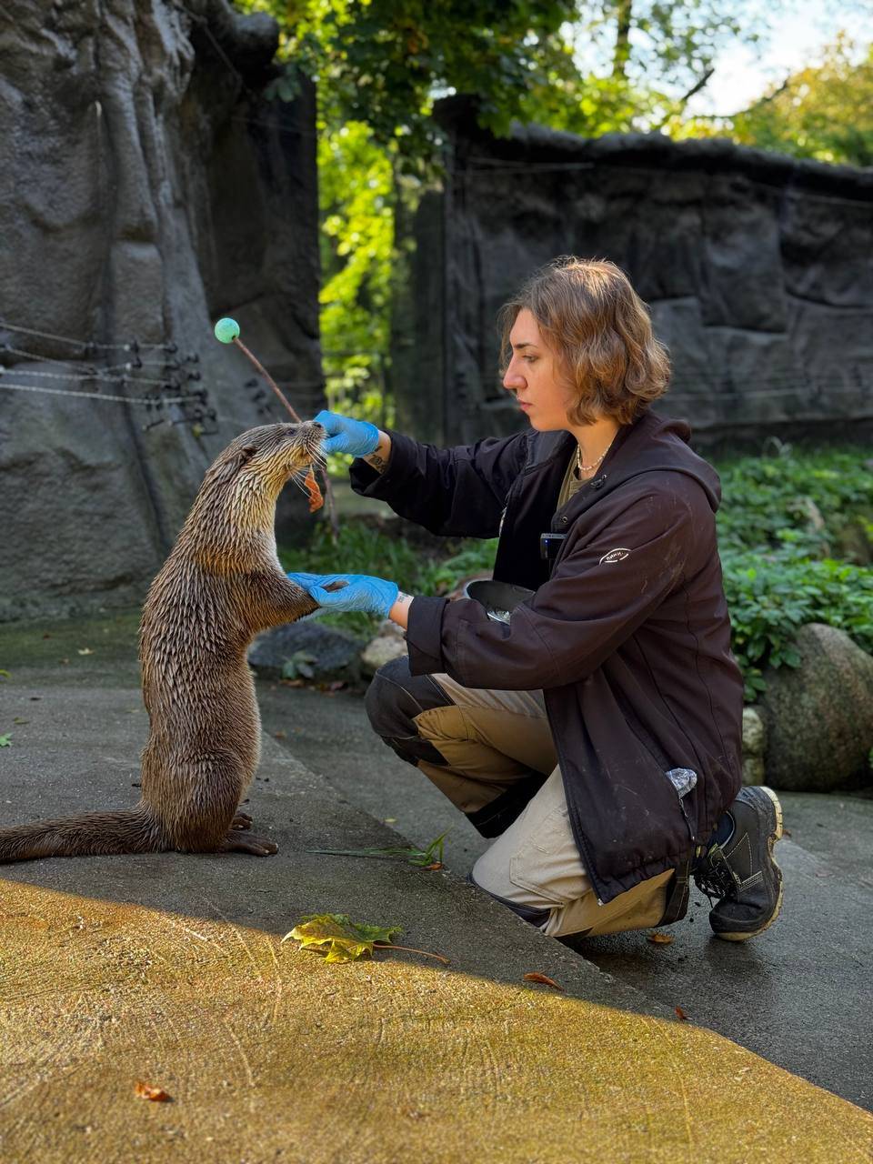 «Свободный выгул»