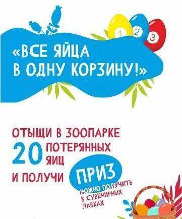 Квест-игра «Все яйца в одну корзину!»