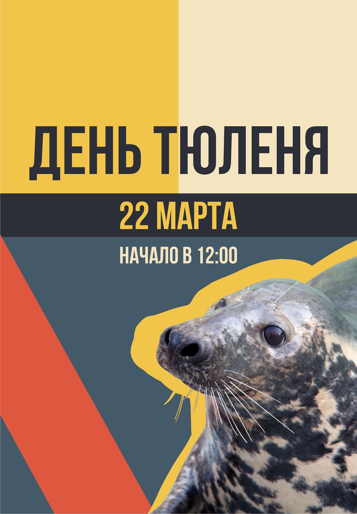 Приходите на День Тюленя!