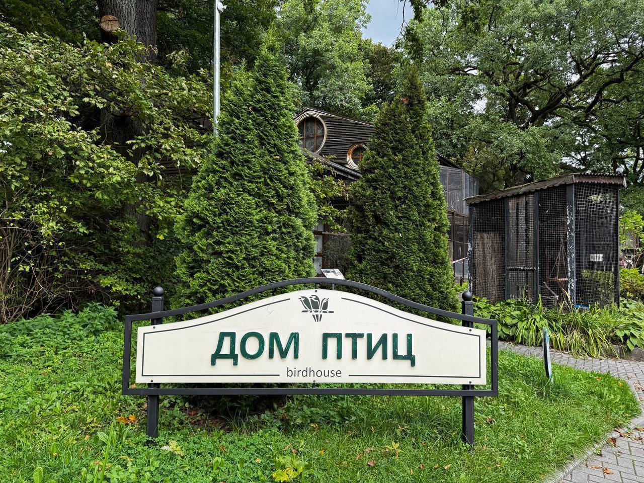 Дом птиц — дом крокодилов