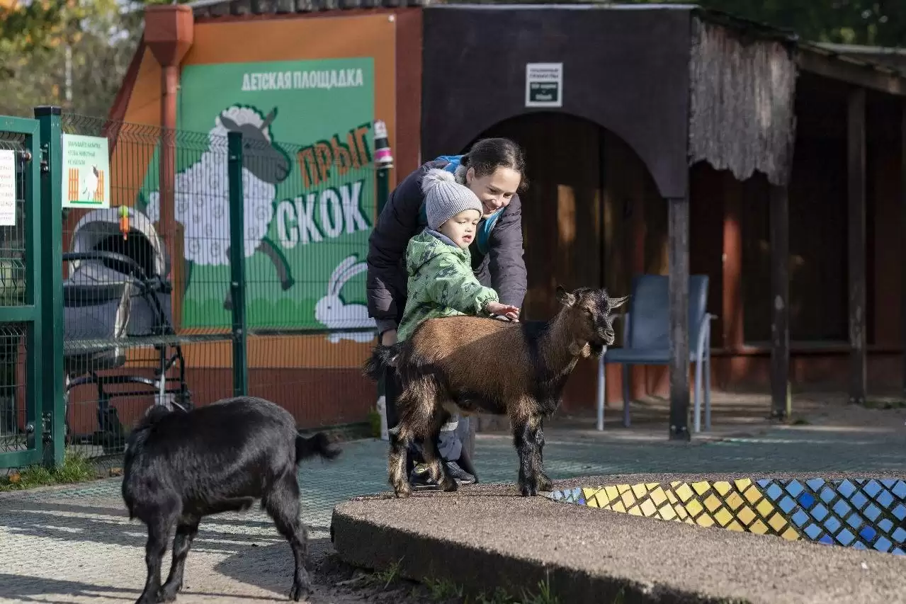 «Прыг-Скок» — на ремонт